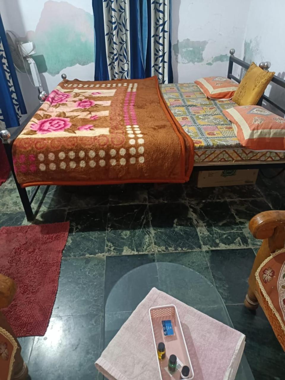 Bagol Palace أُودايبور المظهر الخارجي الصورة